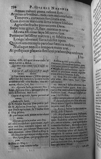 ovidius1670nux04