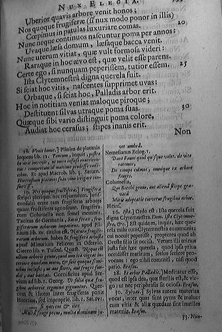 ovidius1670nux05