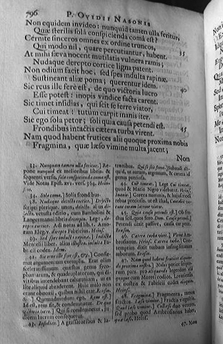 ovidius1670nux06