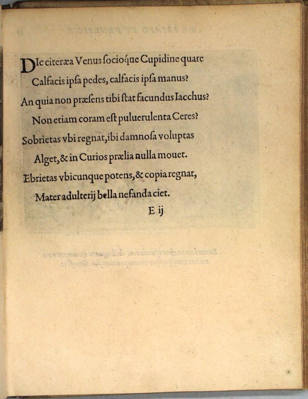 parvl033.jpg