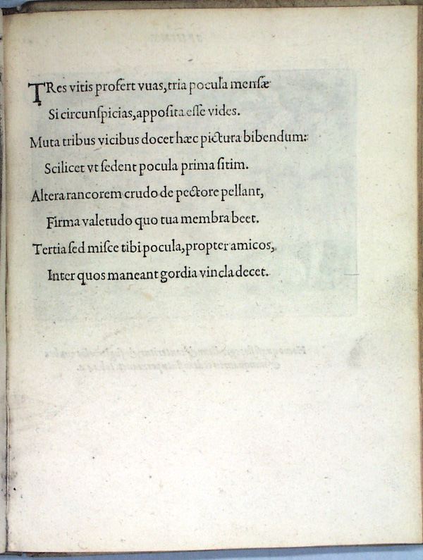 parvl084.jpg
