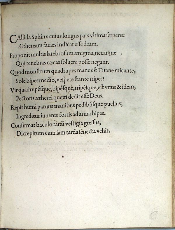 parvl086.jpg