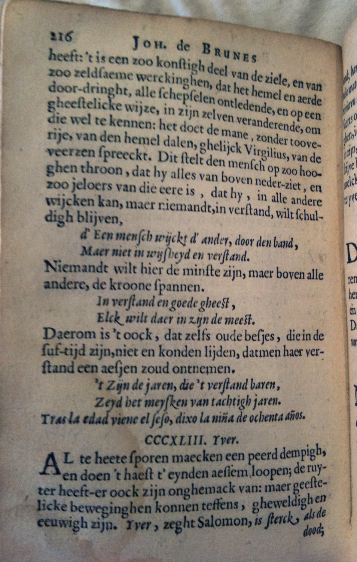 Brune1660BW216.jpg