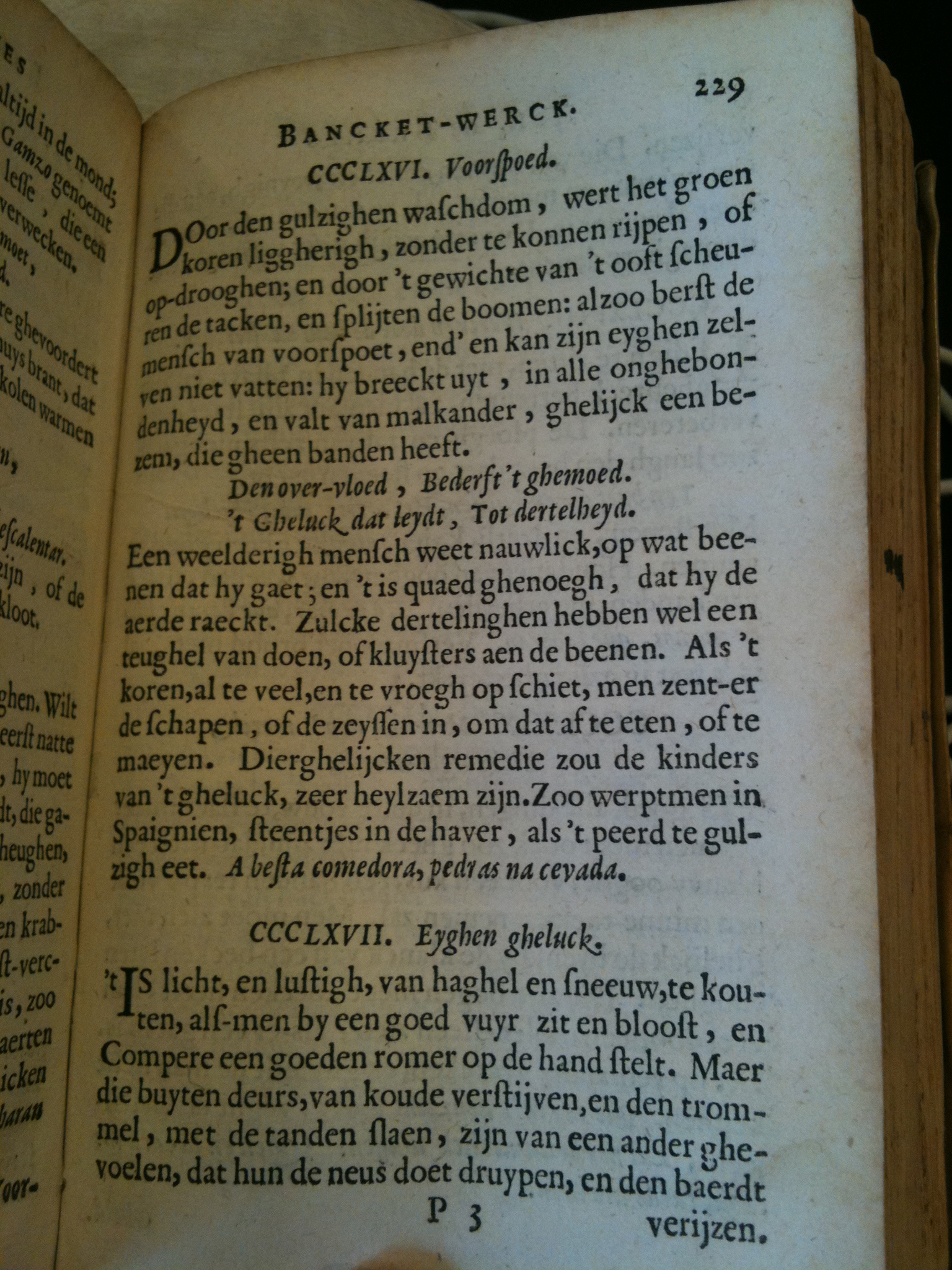 Brune1660BW229.jpg