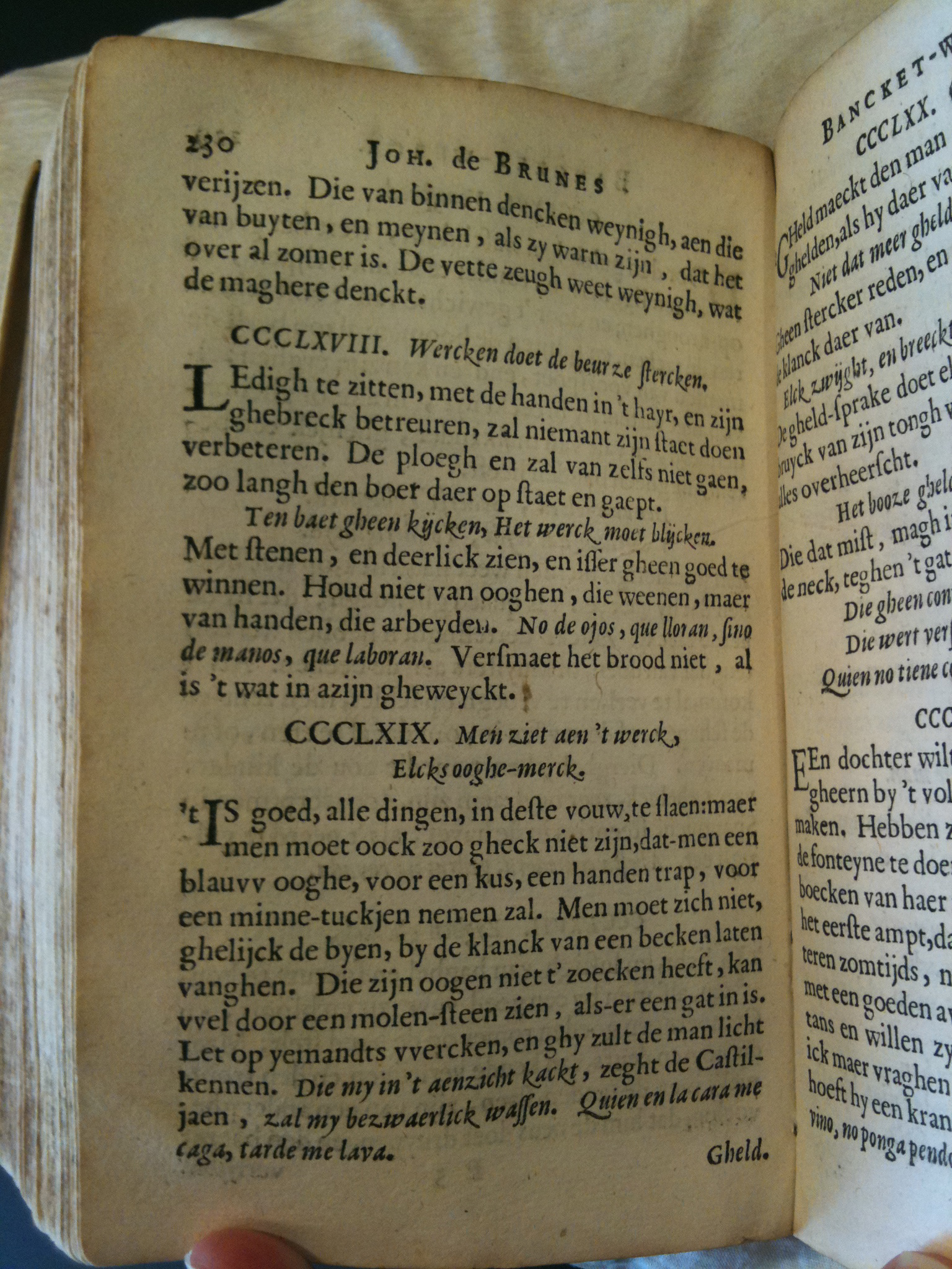 Brune1660BW230.jpg