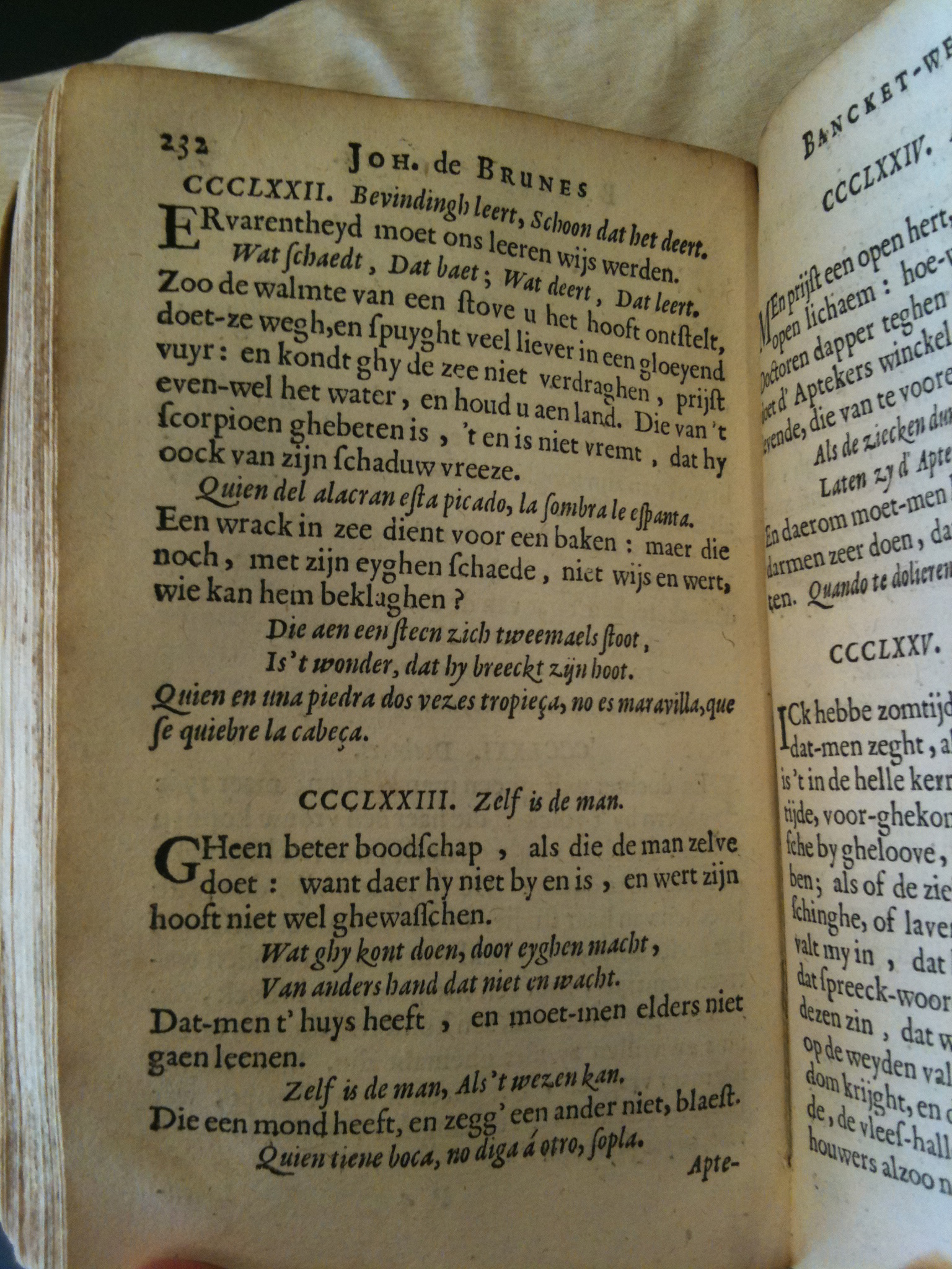 Brune1660BW232.jpg