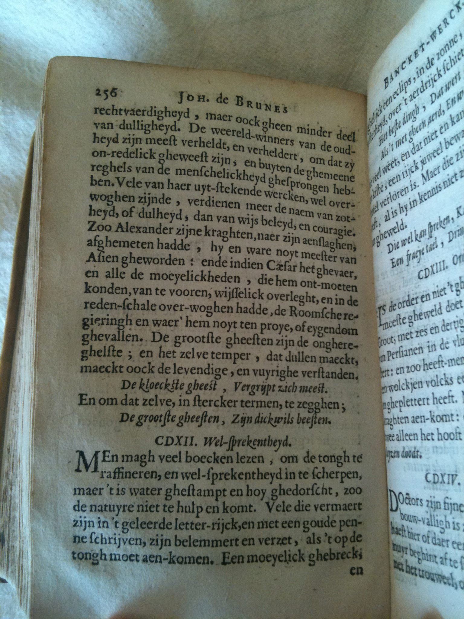 Brune1660BW256.jpg