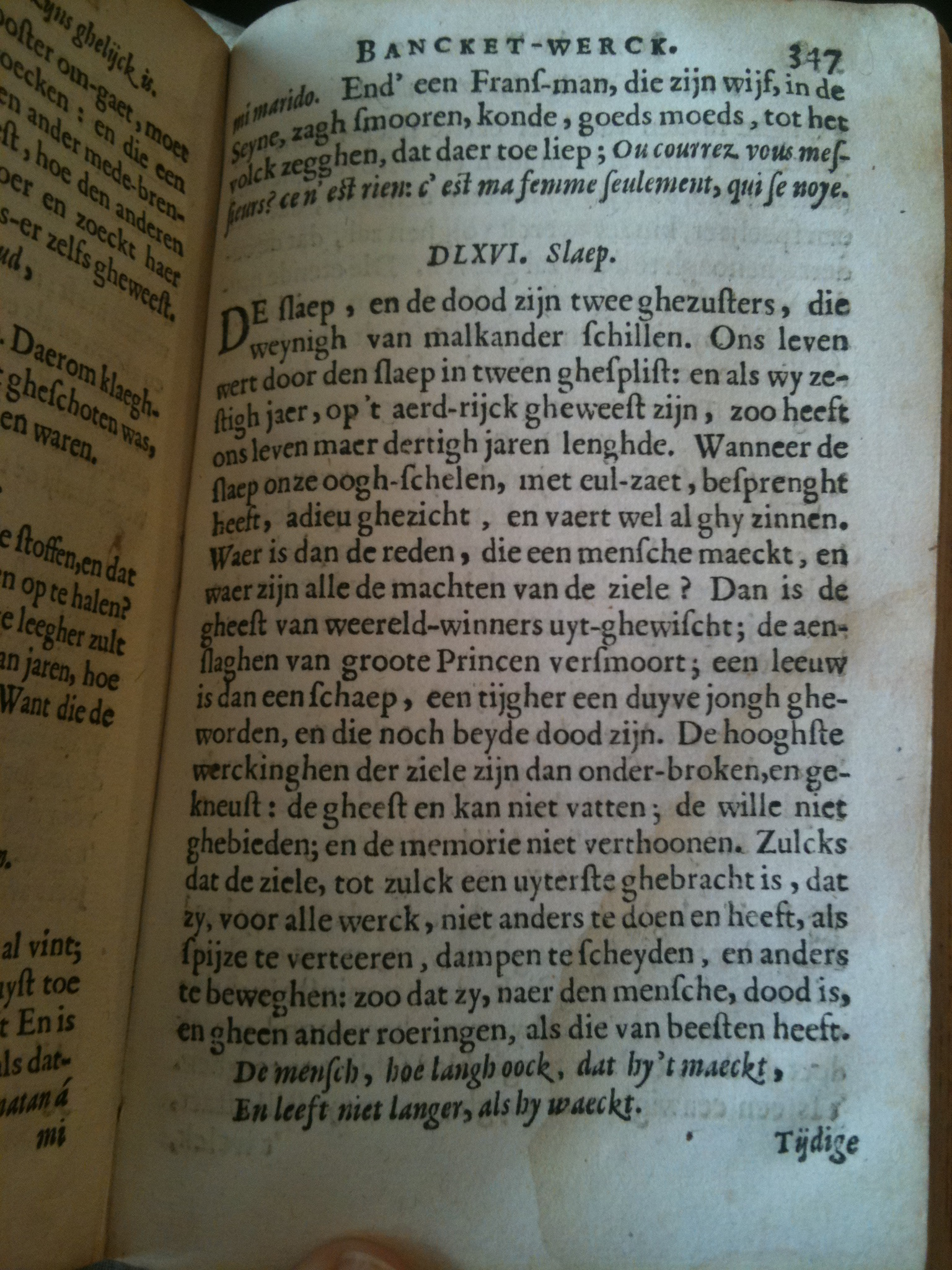 Brune1660BW347.jpg