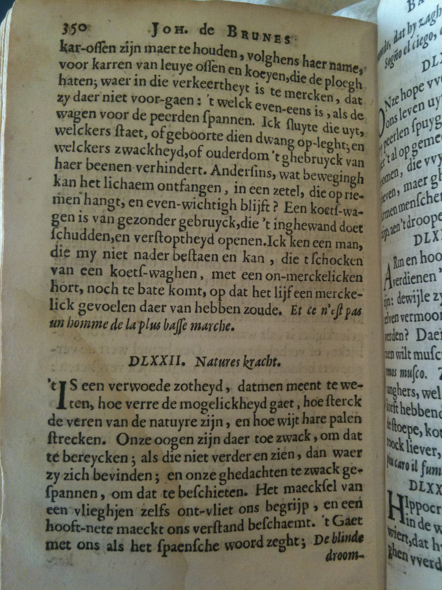 Brune1660BW350.jpg