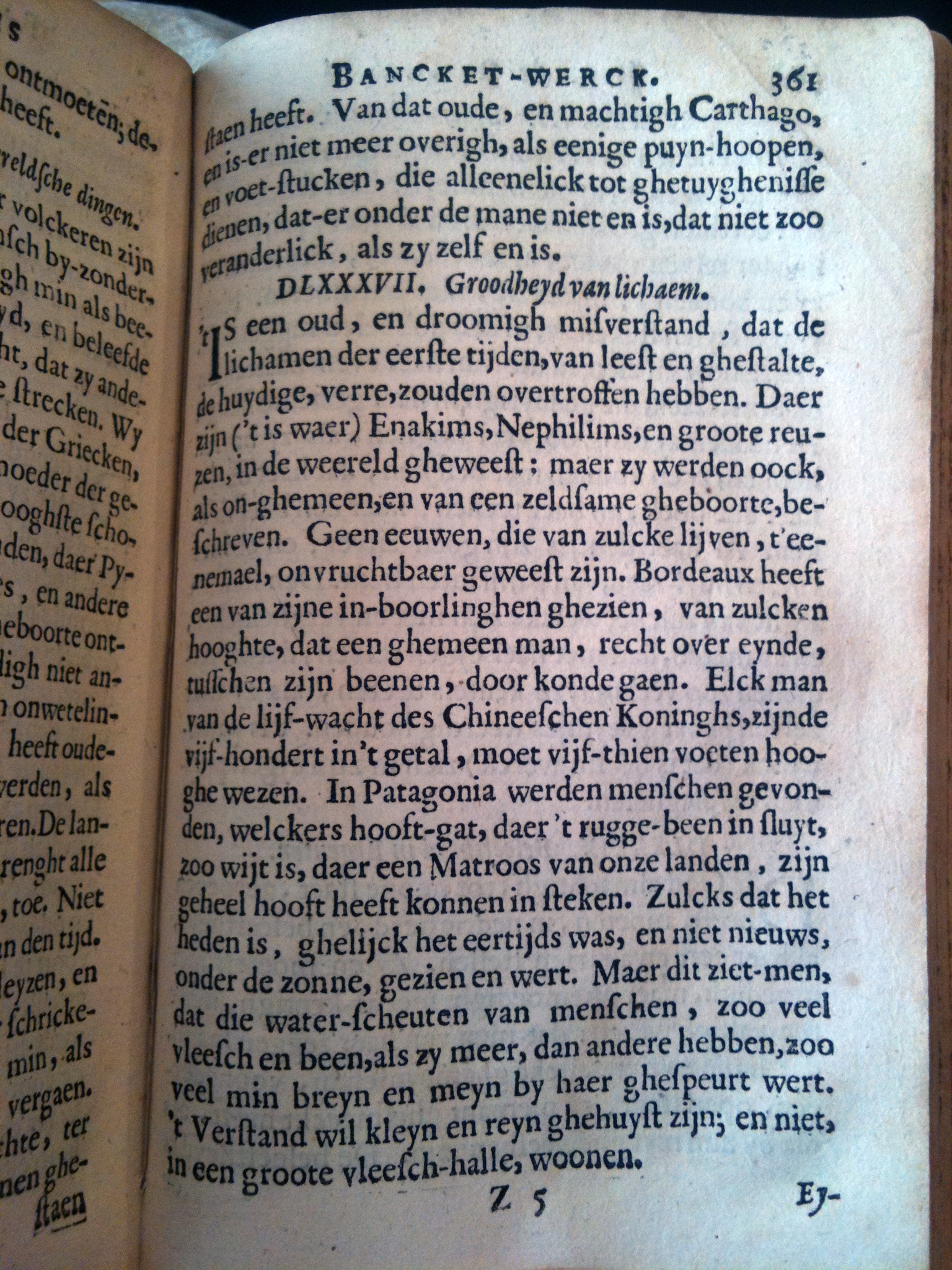 Brune1660BW361.jpg