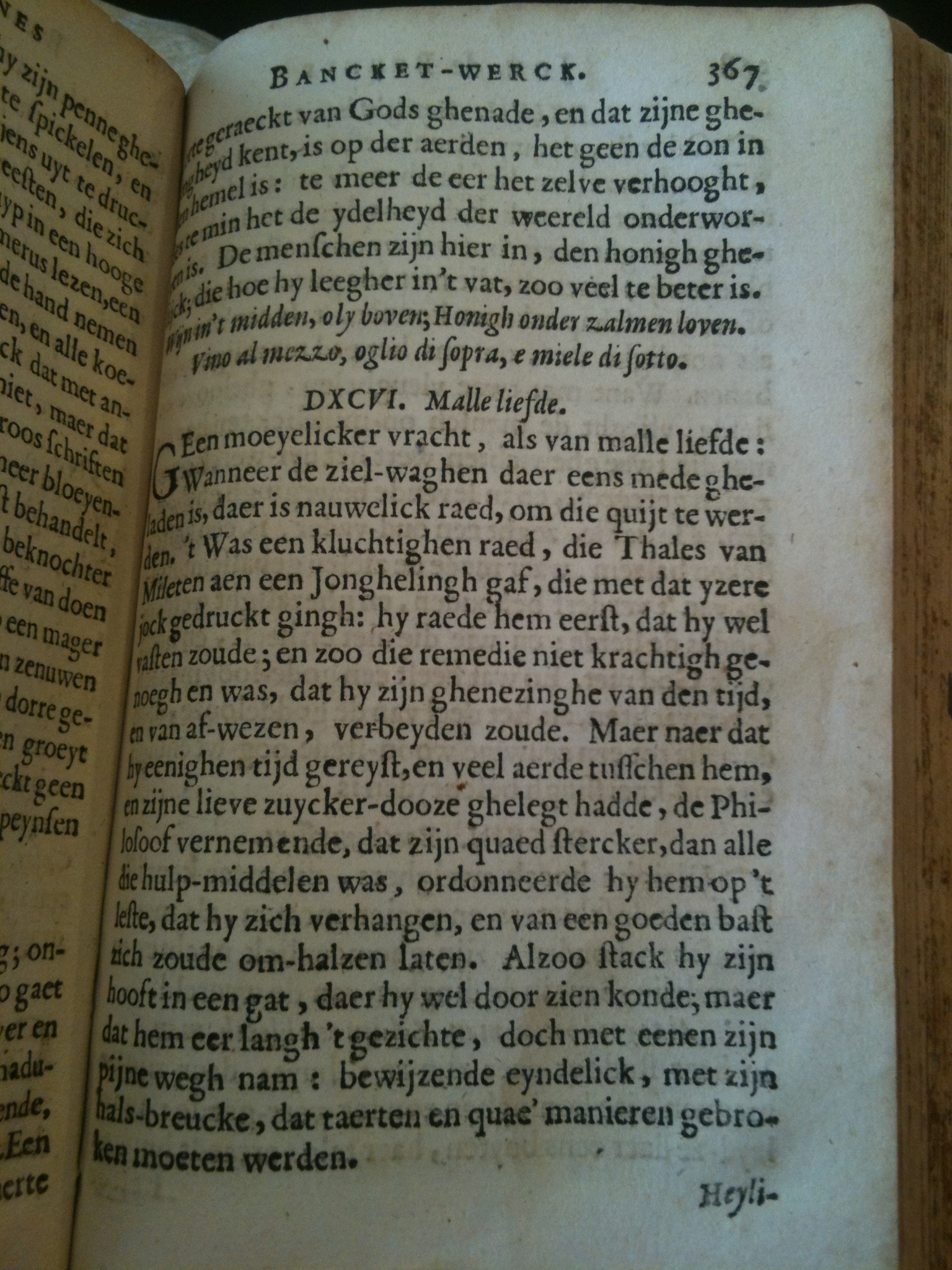 Brune1660BW367.jpg