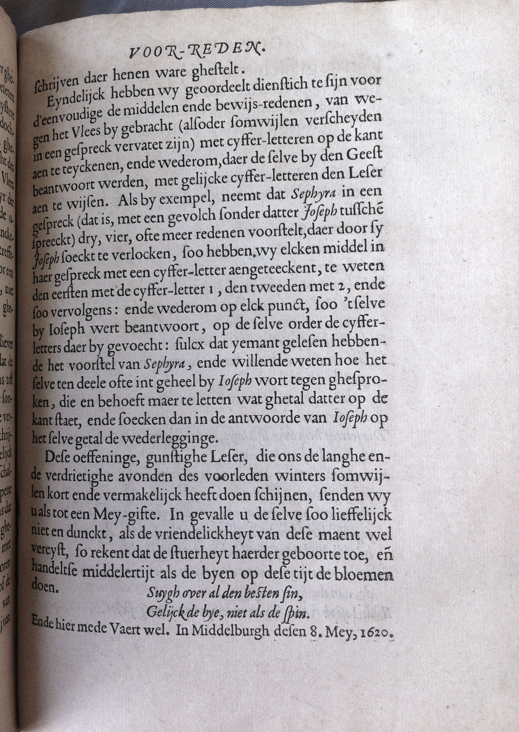 CatsSelfstrydt1625019.jpg