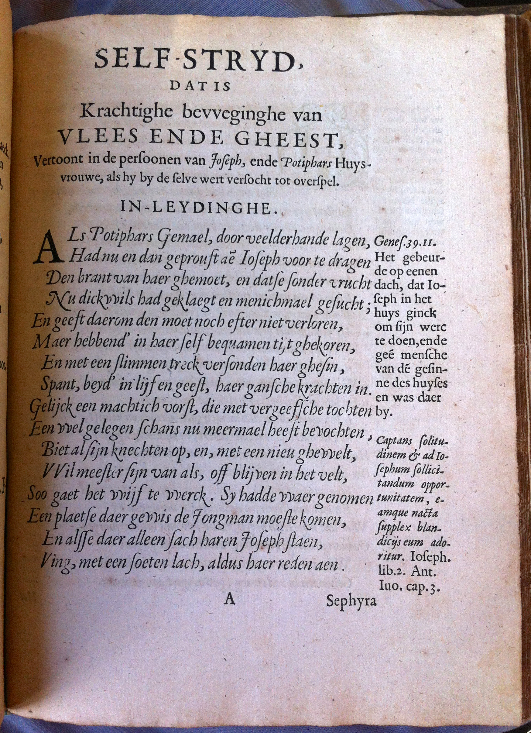 CatsSelfstrydt1625037.jpg