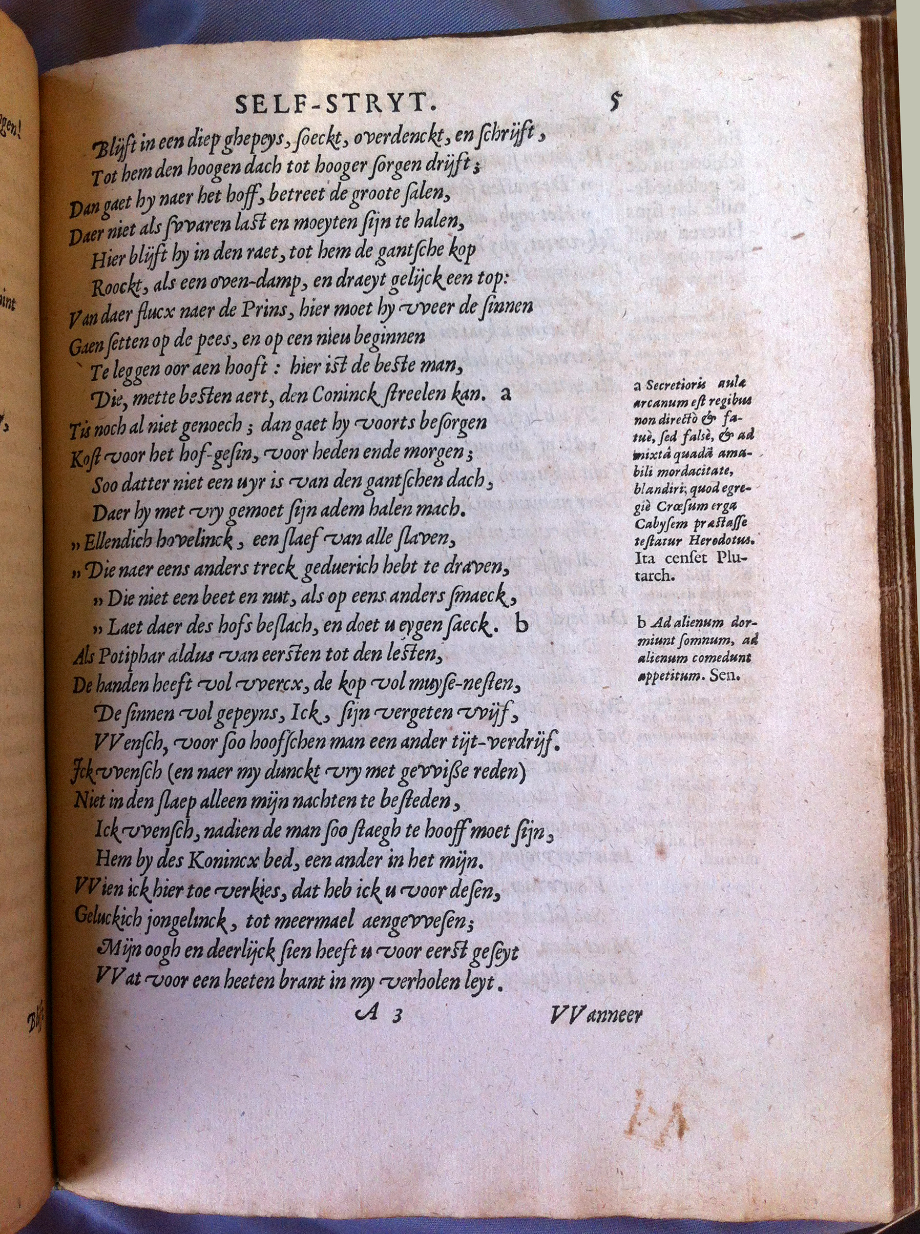 CatsSelfstrydt1625041.jpg