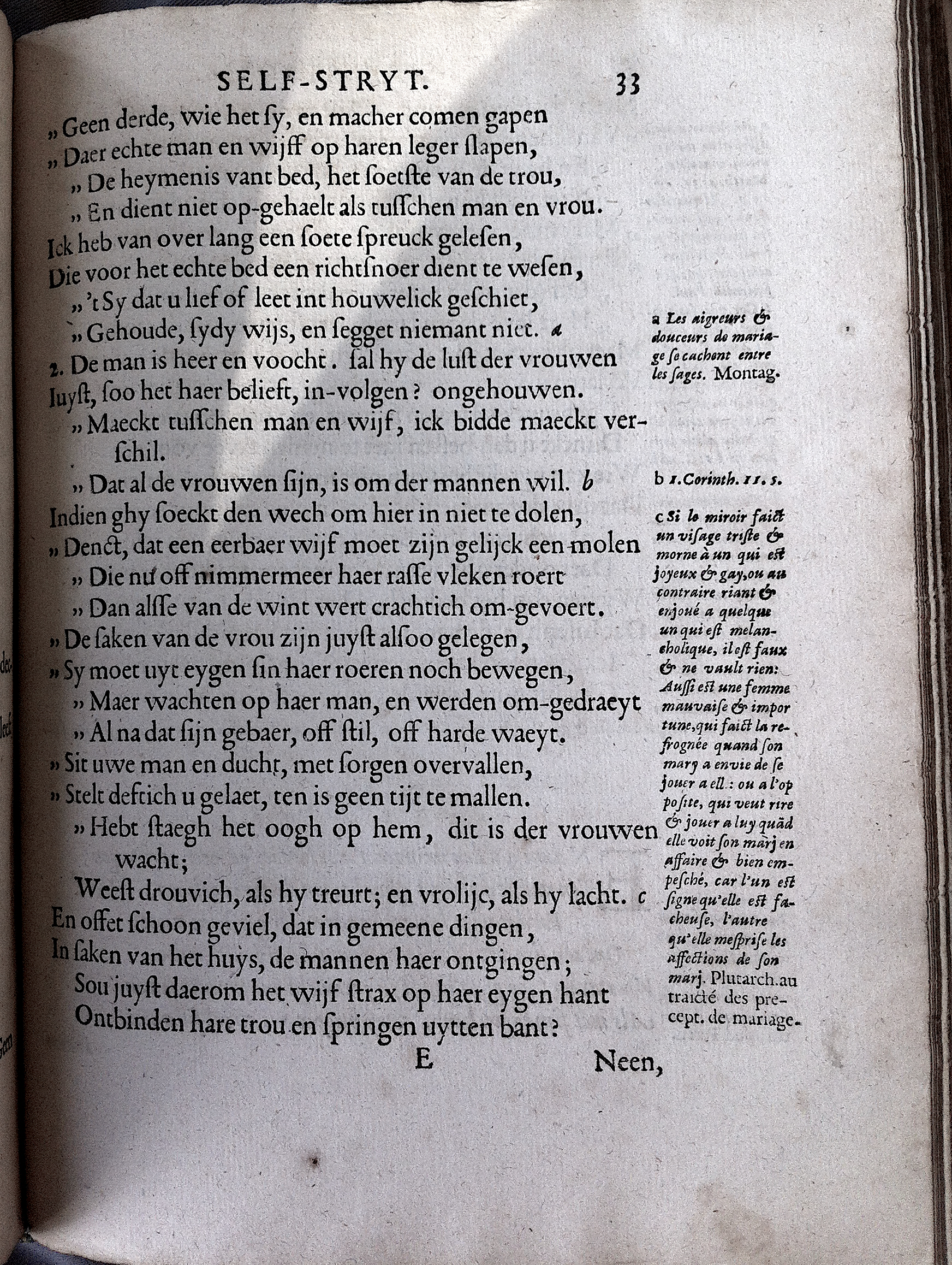 CatsSelfstrydt1625069.jpg
