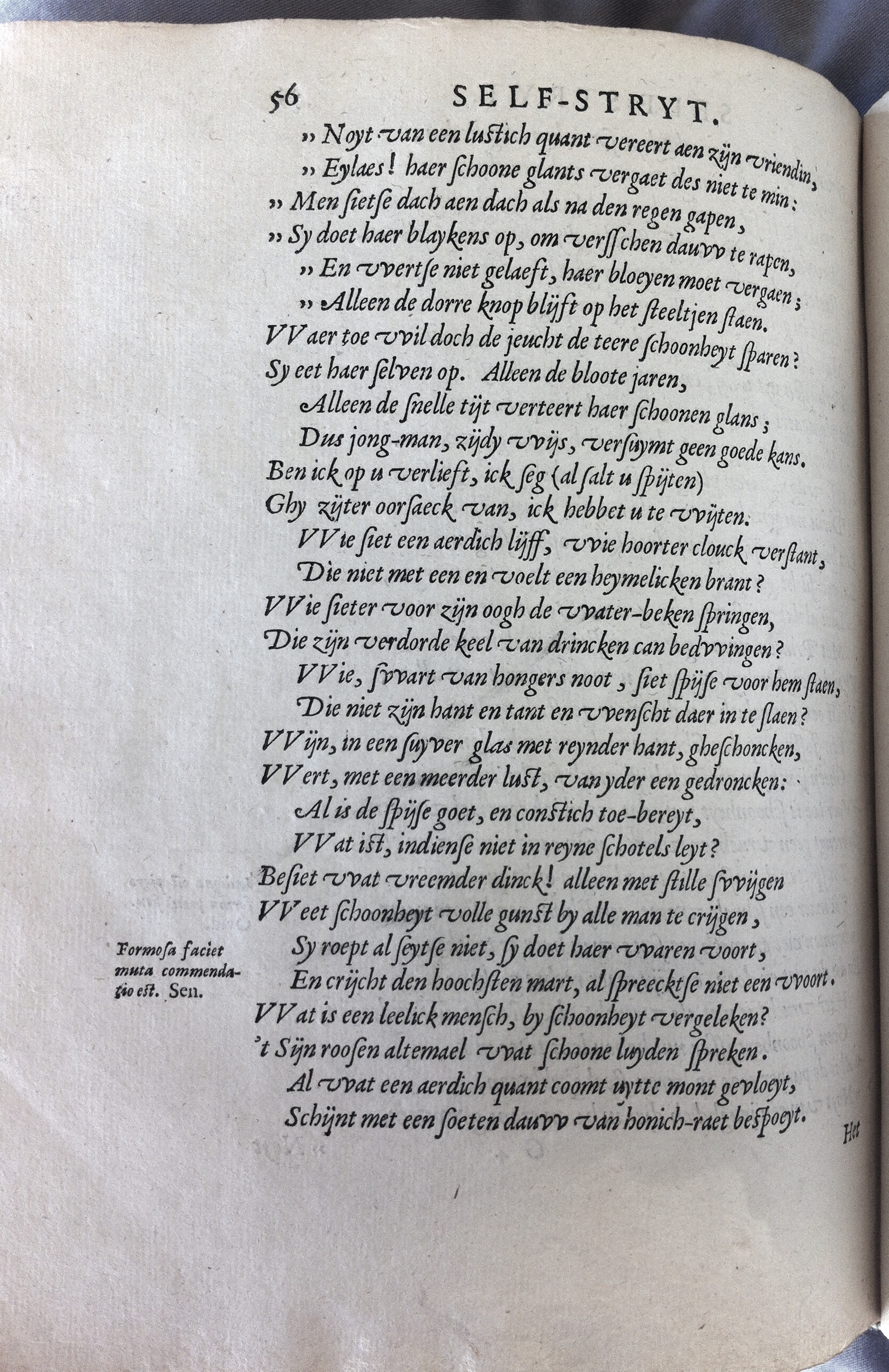 CatsSelfstrydt1625092.jpg