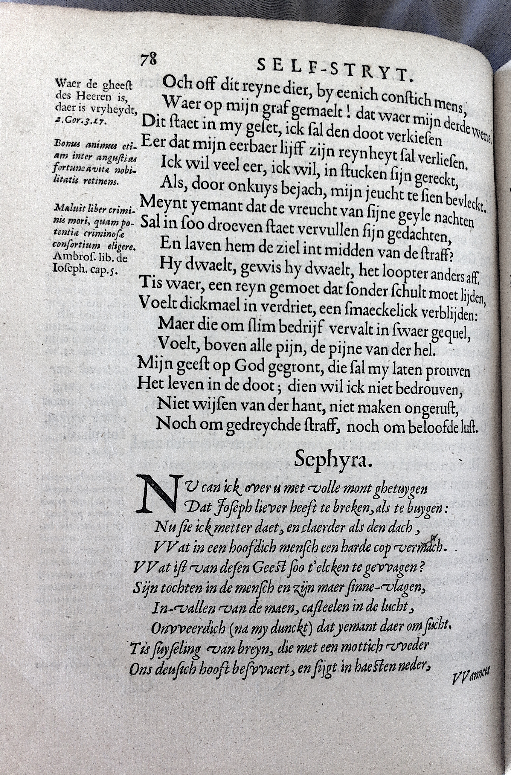 CatsSelfstrydt1625114.jpg