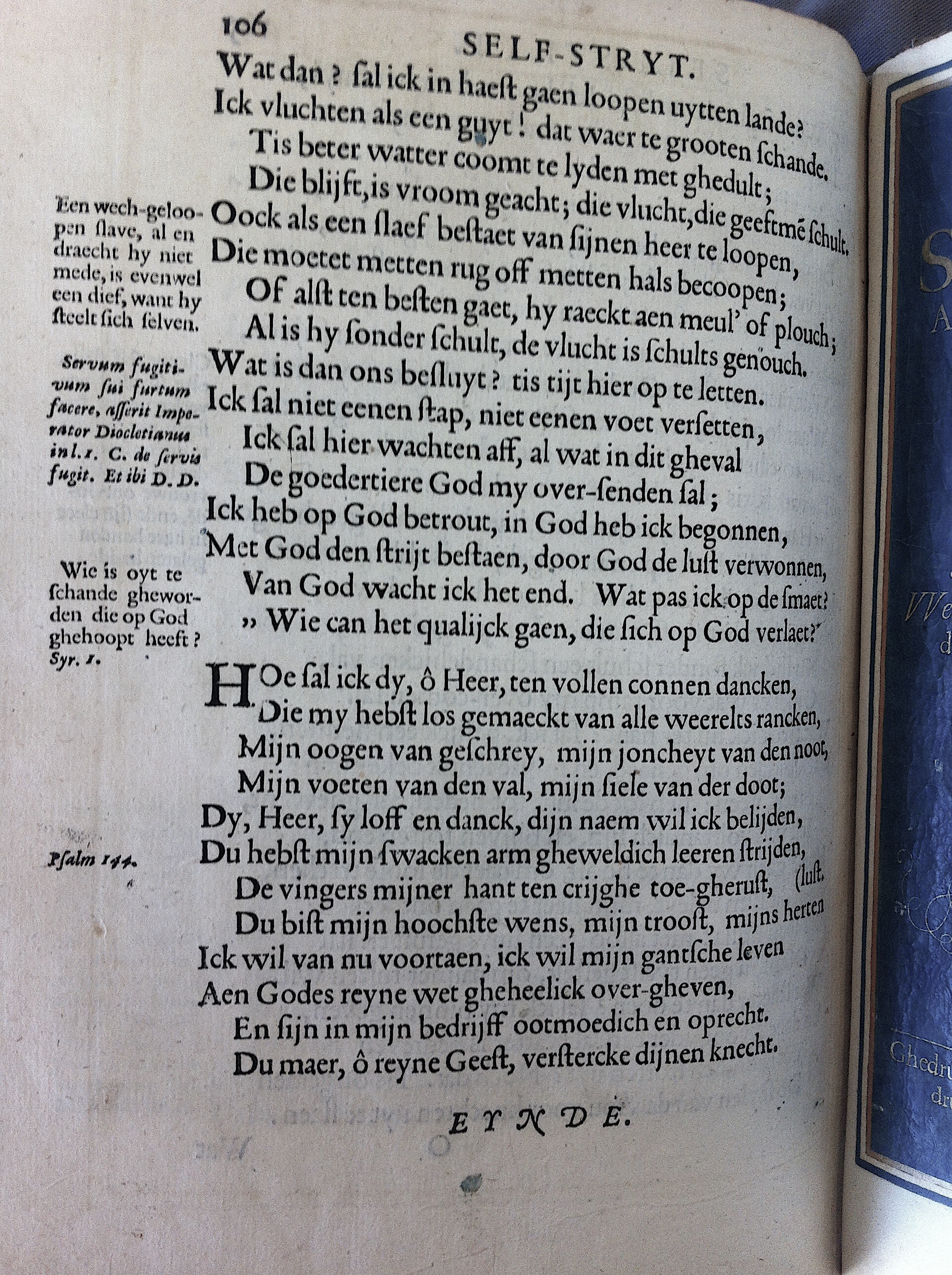CatsSelfstrydt1625142.jpg