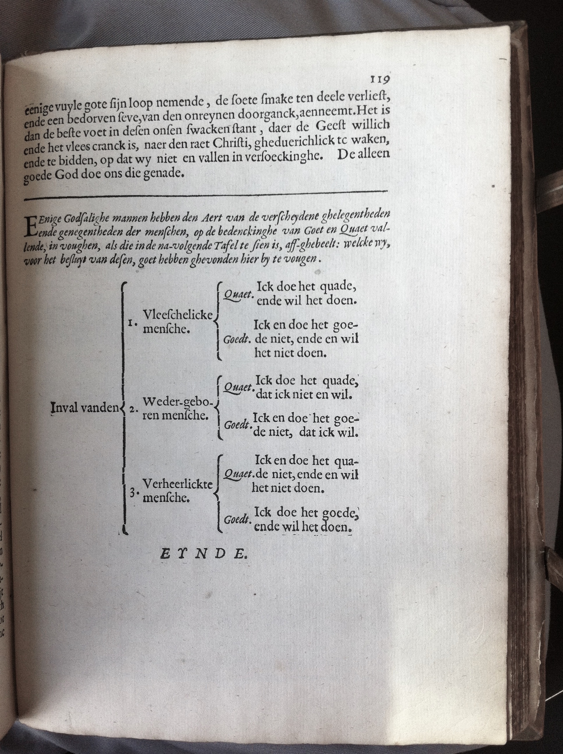 CatsSelfstrydt1625155.jpg