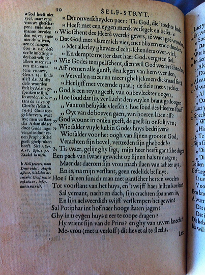 CatsSelfstrydt1625046
