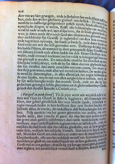 CatsSelfstrydt1625152
