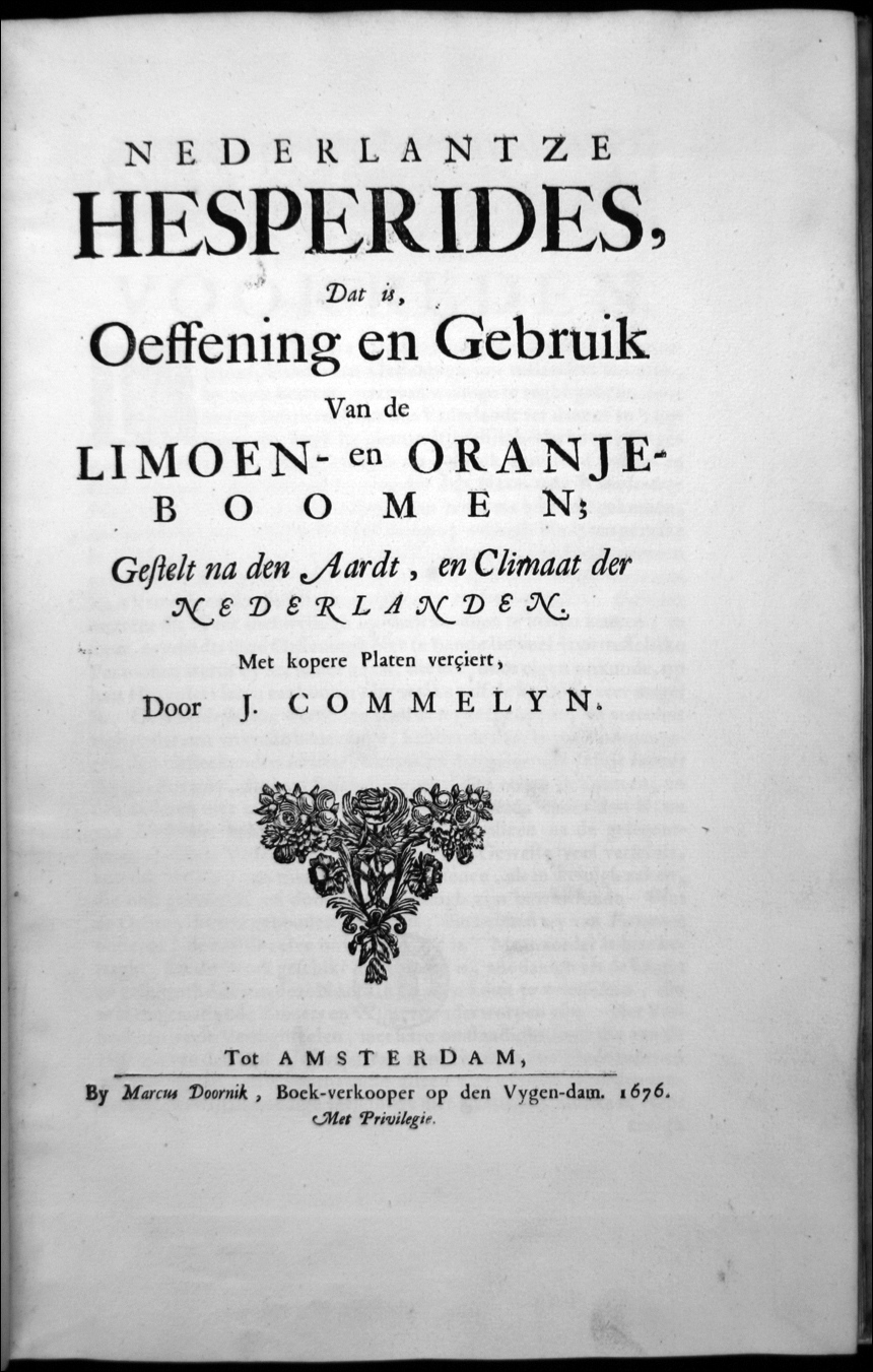 hesperides002.jpg