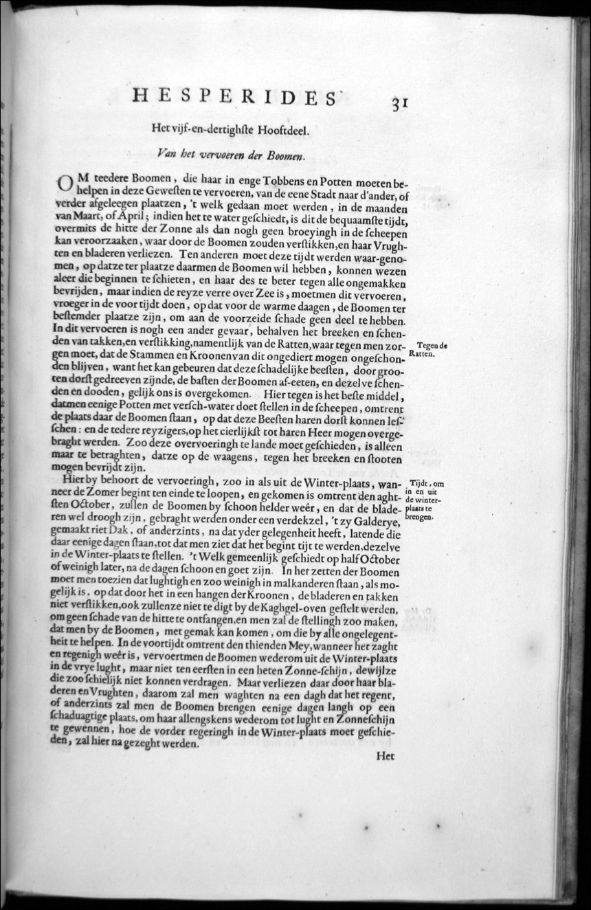 hesperides055.jpg