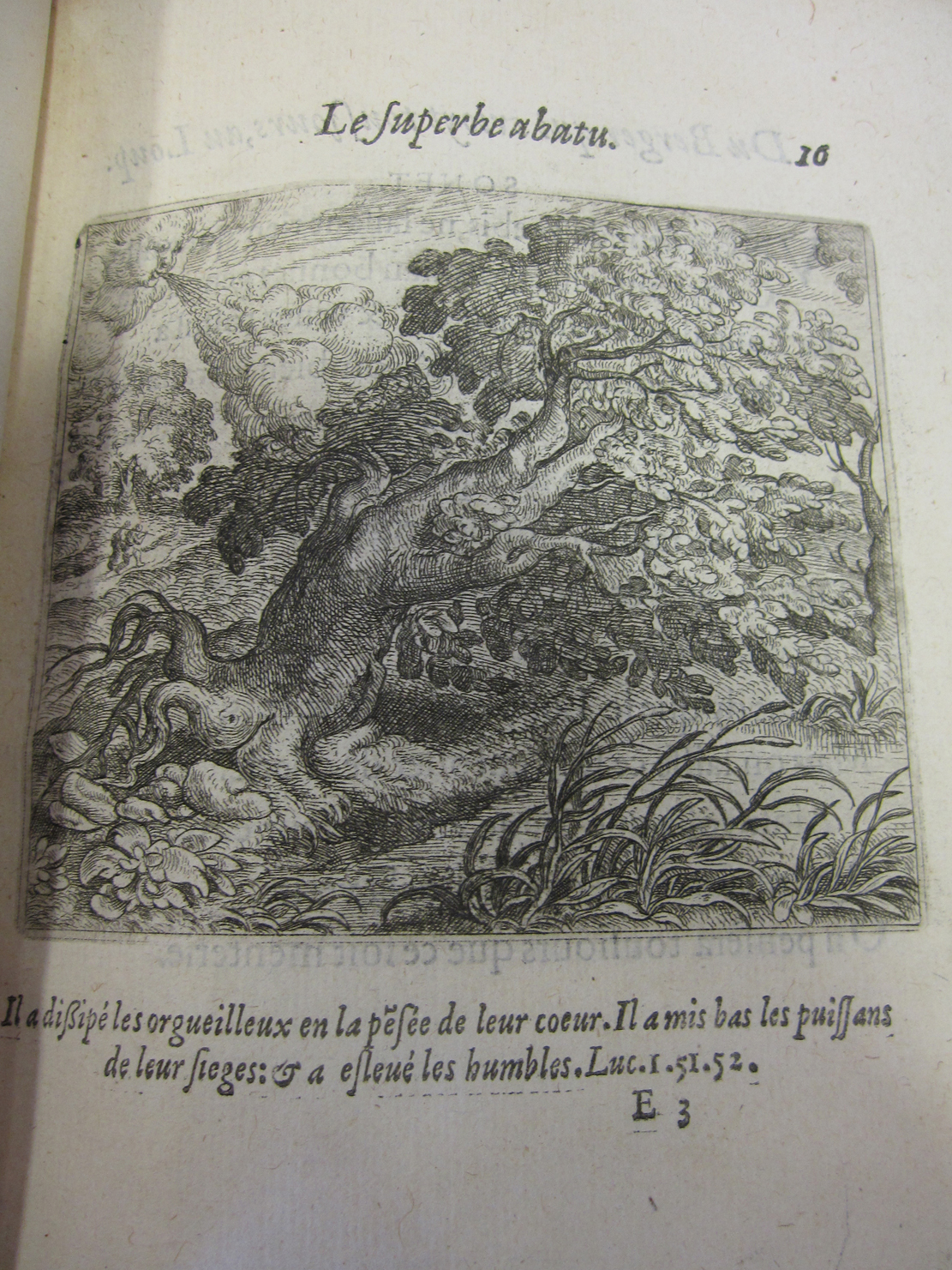 heyns031.jpg