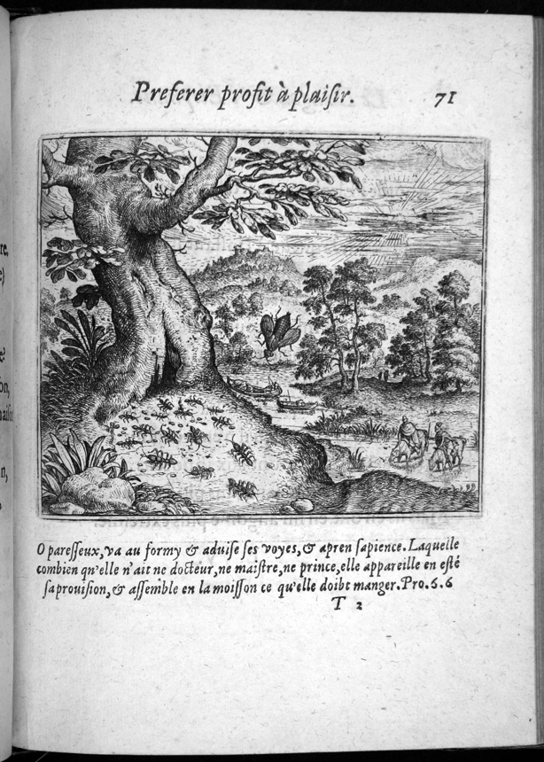 heyns141.jpg