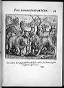 heyns084