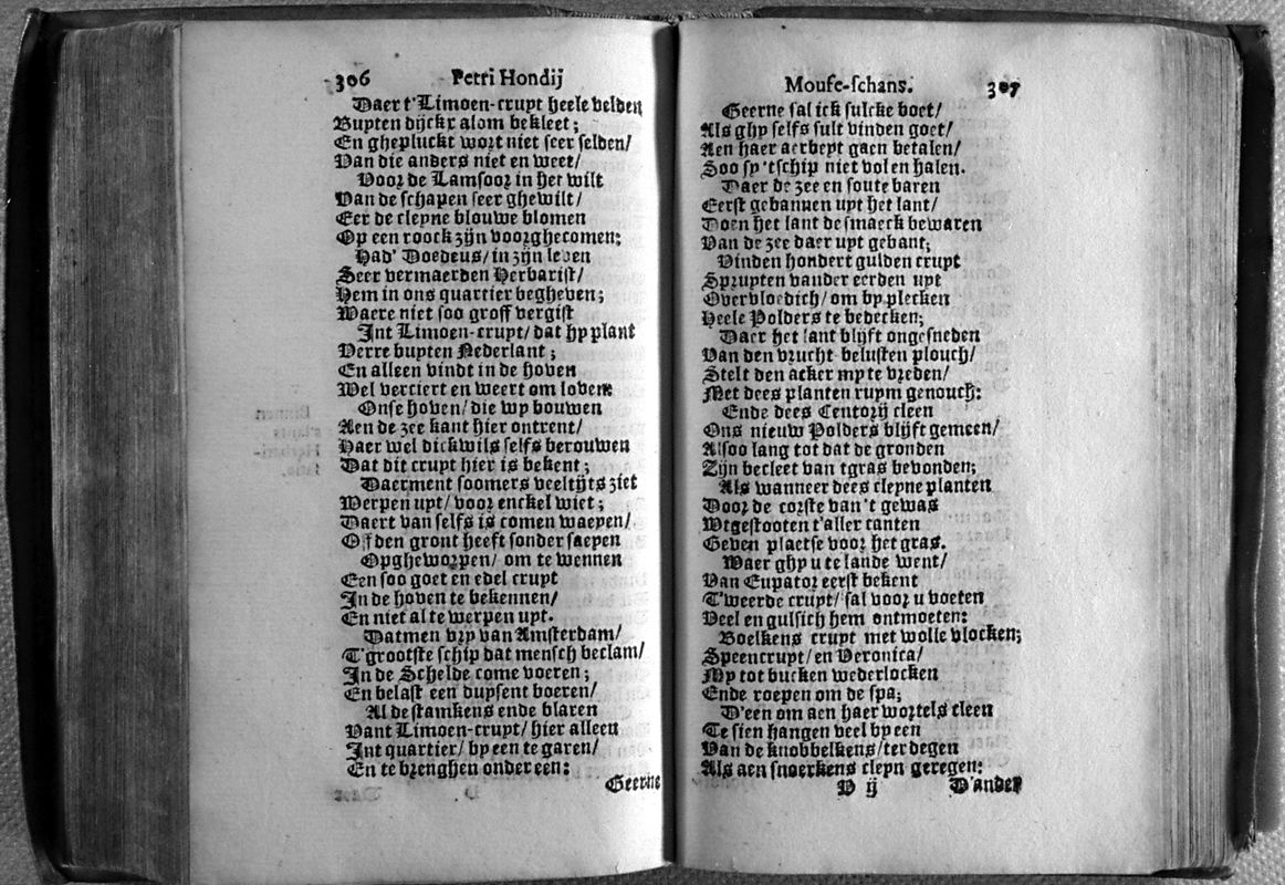 honmof173.jpg