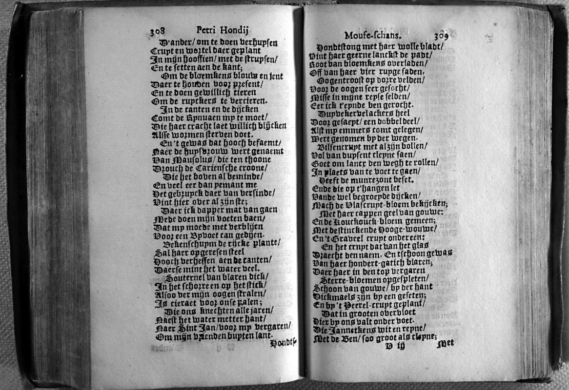honmof174.jpg