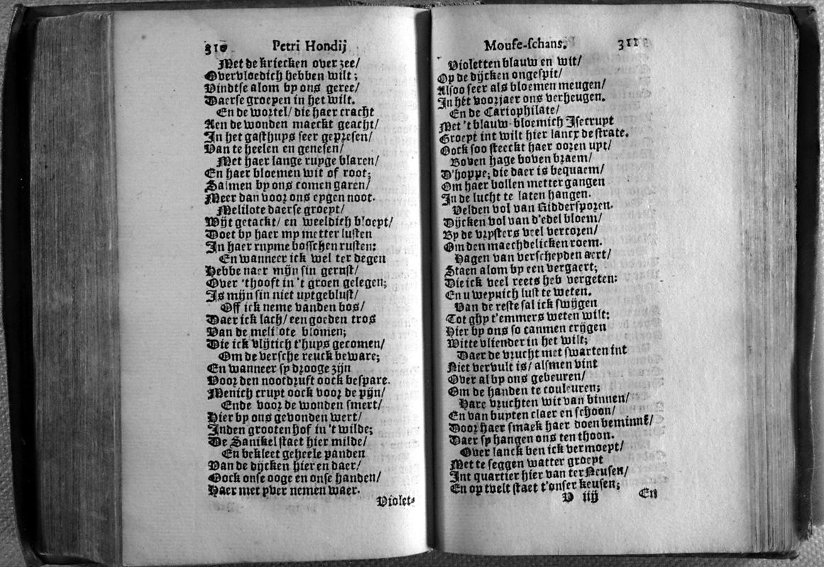 honmof175.jpg