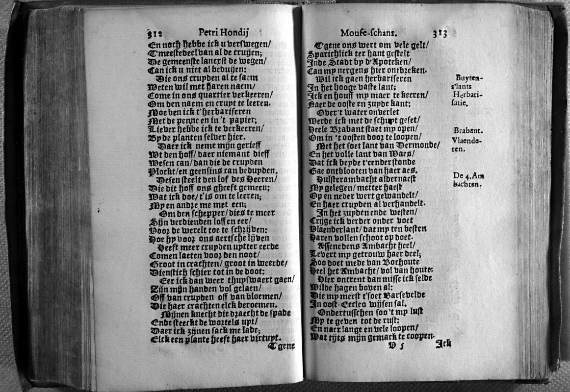 honmof176.jpg