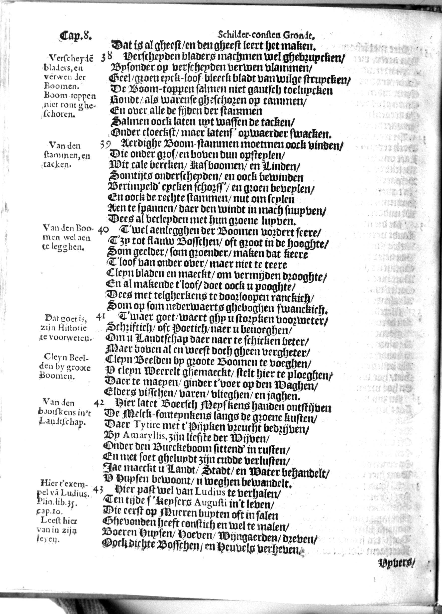 manderschilder106.jpg