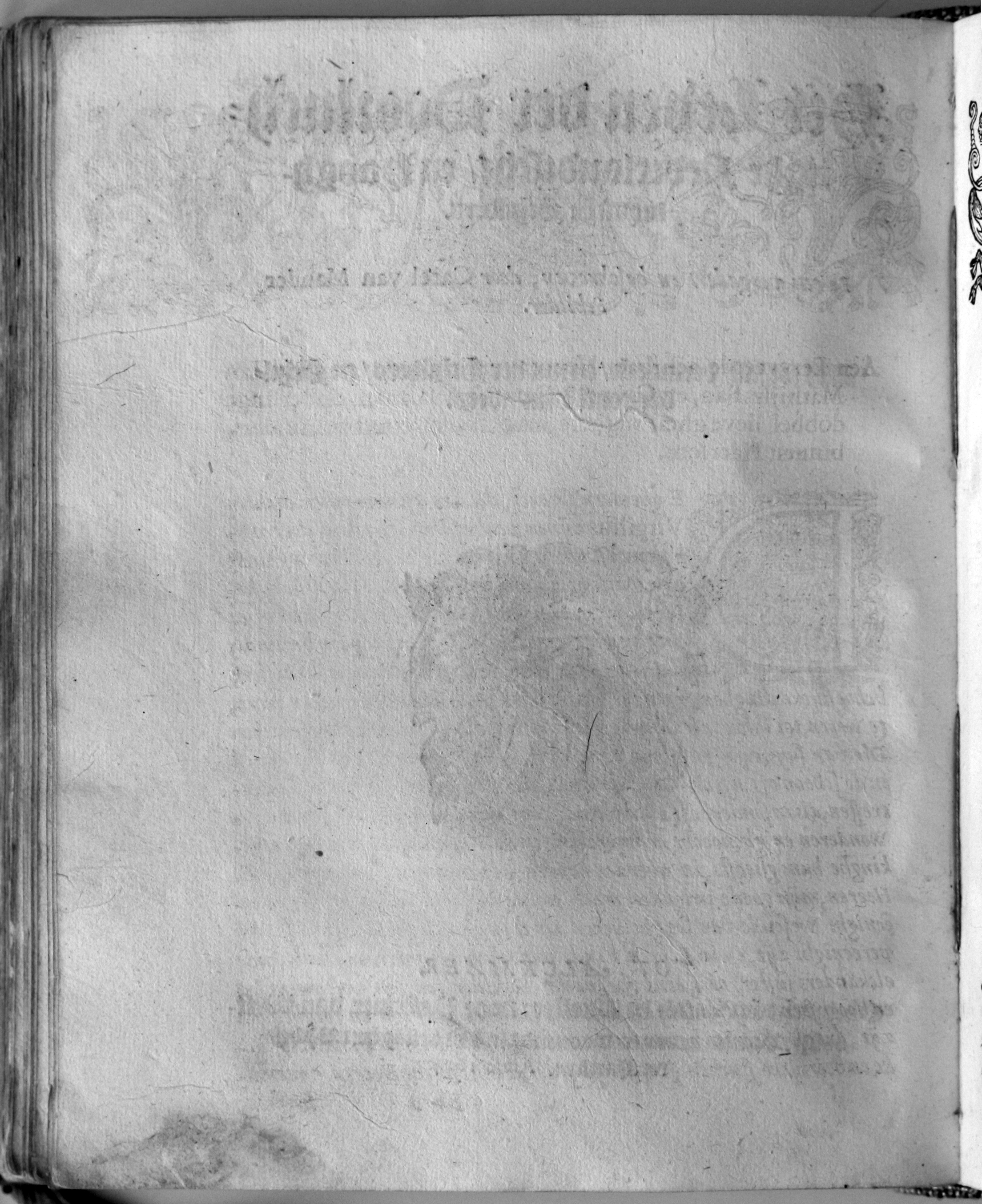 manderschilder424.jpg