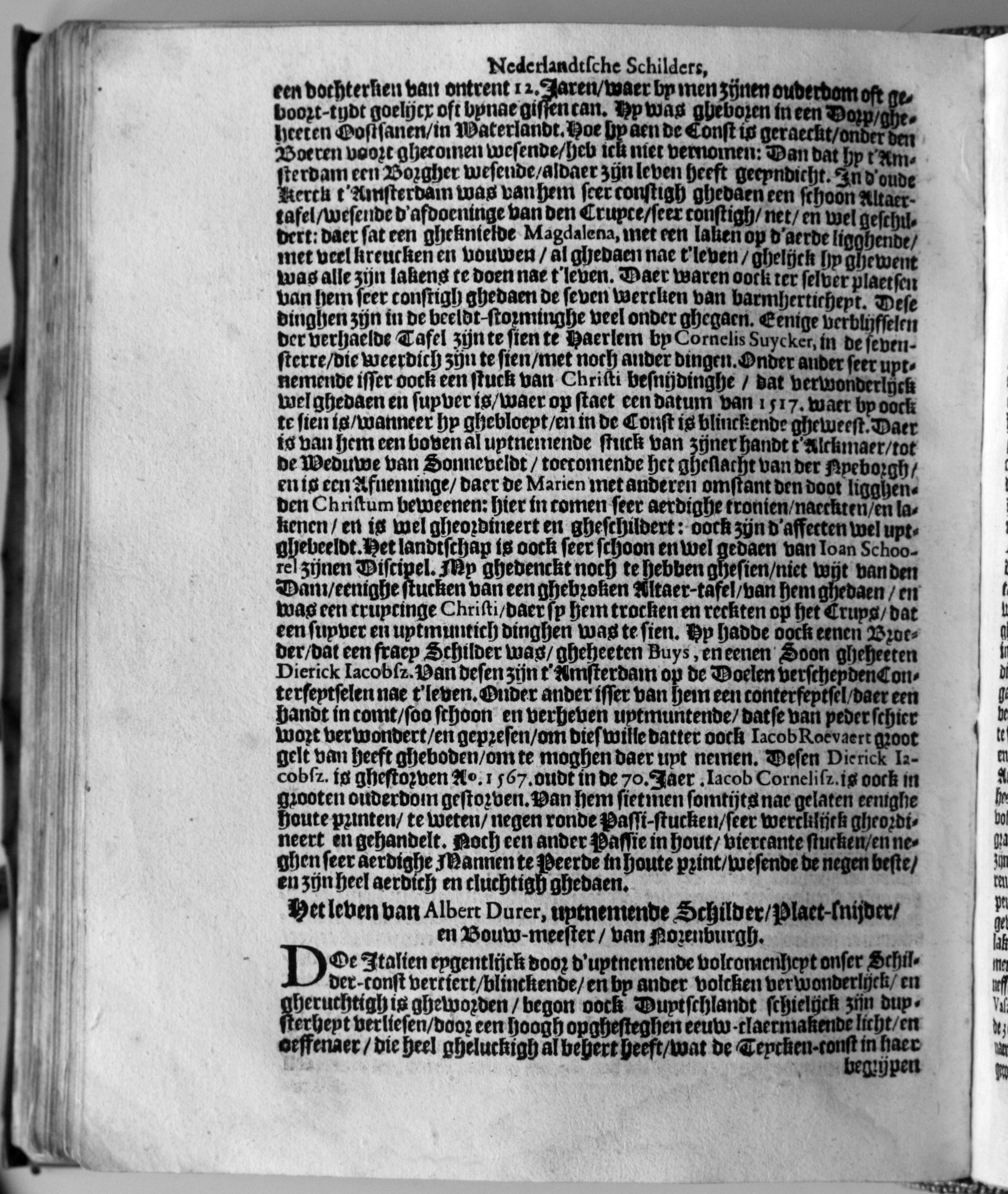 manderschilder446.jpg