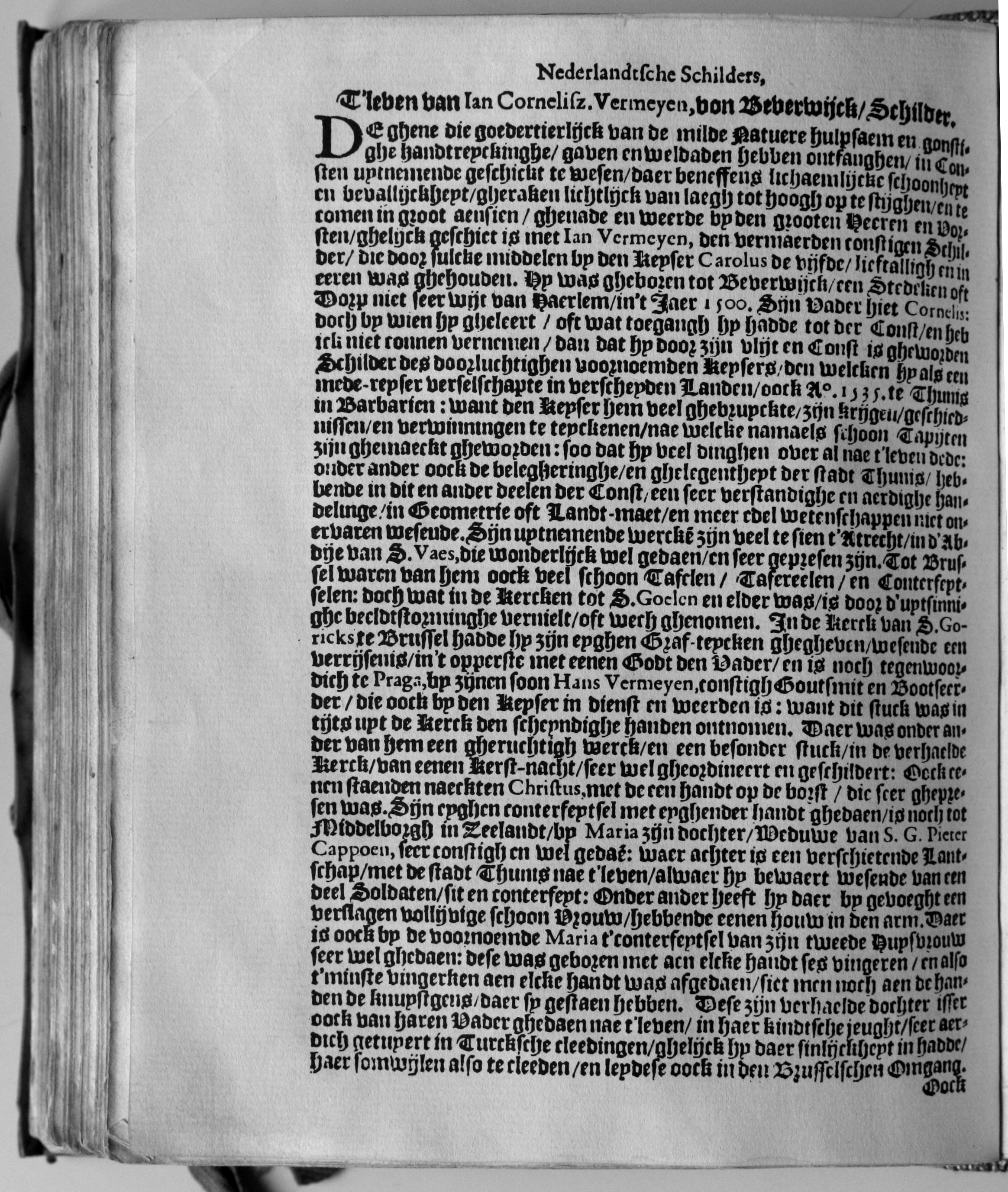 manderschilder480.jpg