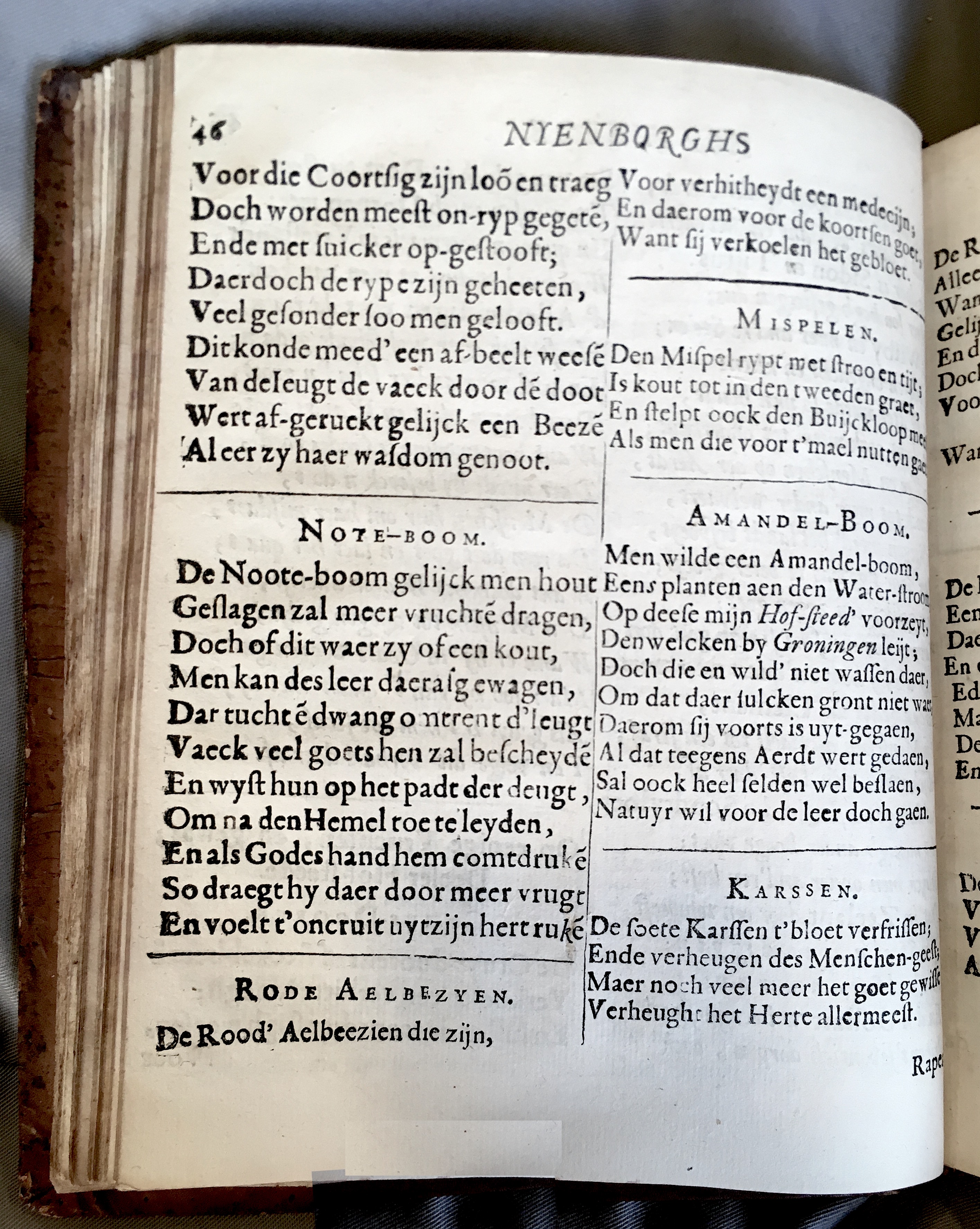 Hofstede1659p046.jpg