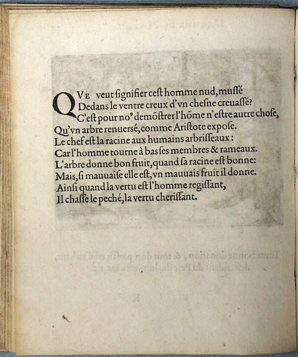 parvf074.jpg