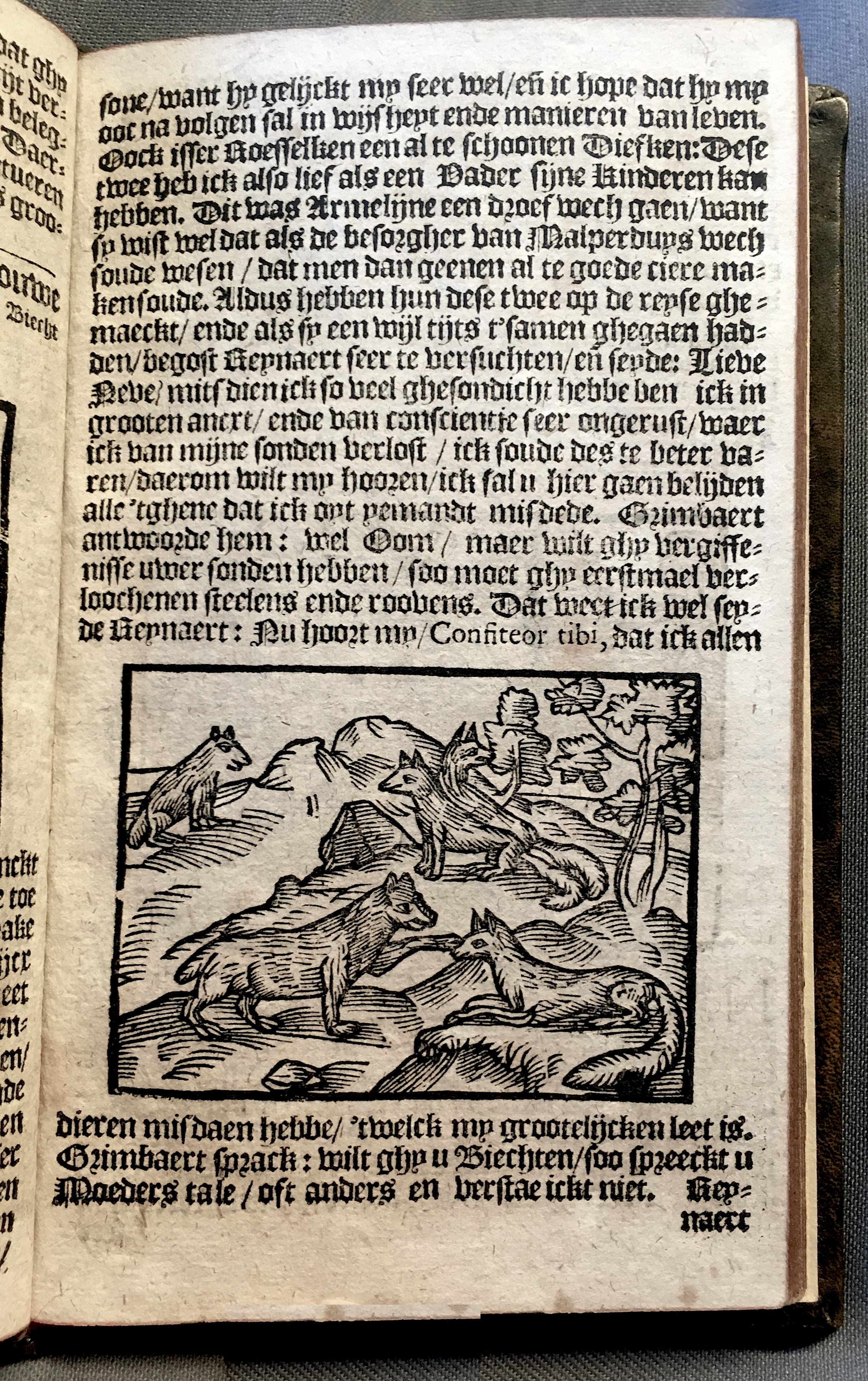 ReynaertUBA1635ca27.jpg