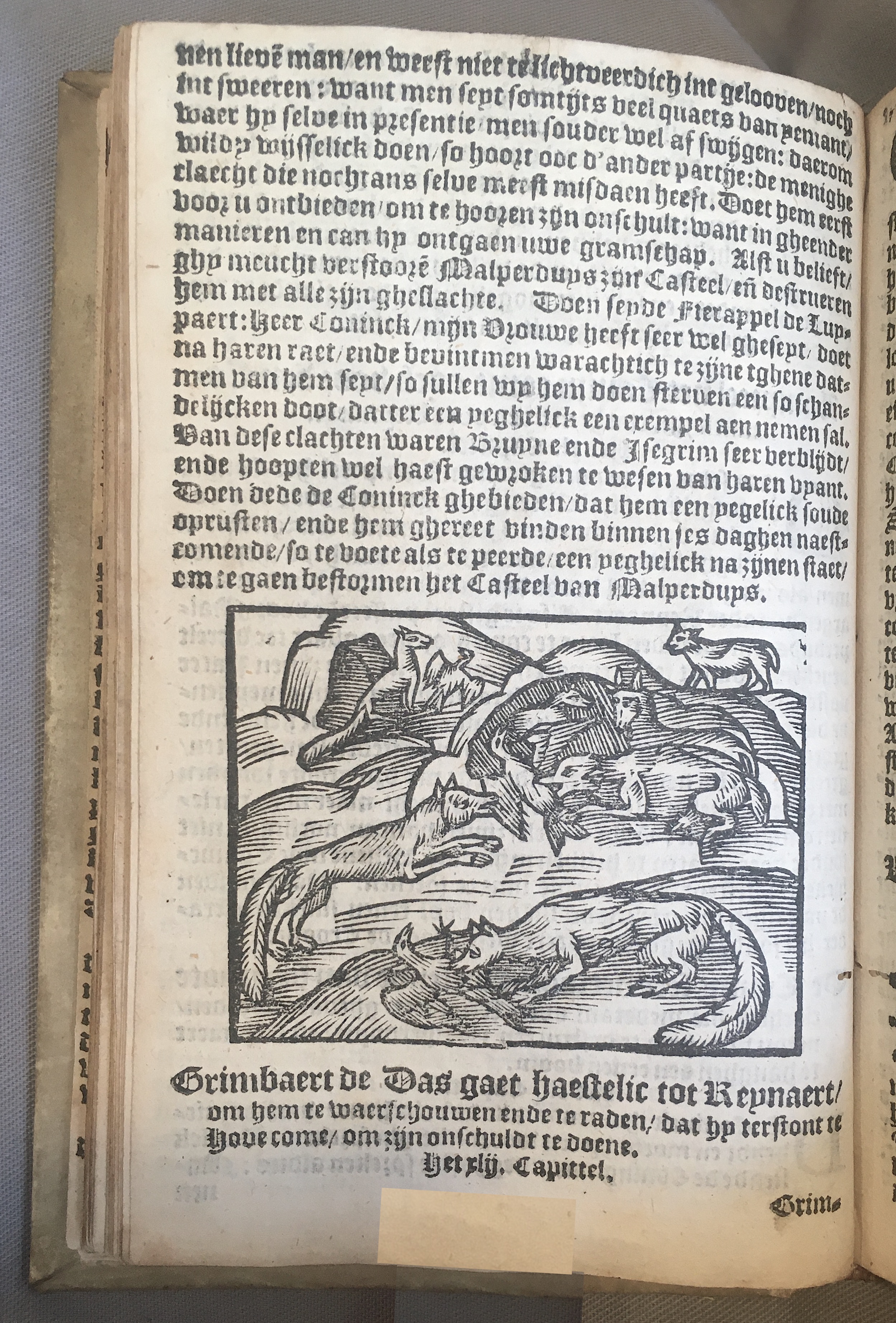 ReynaertDelft1603p48.jpg