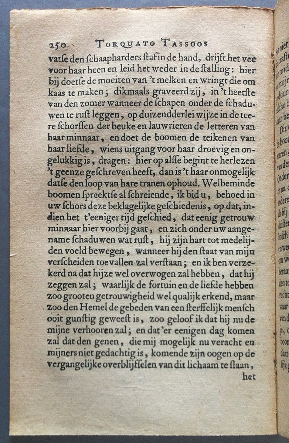 TassoDullaart1658p250.jpg