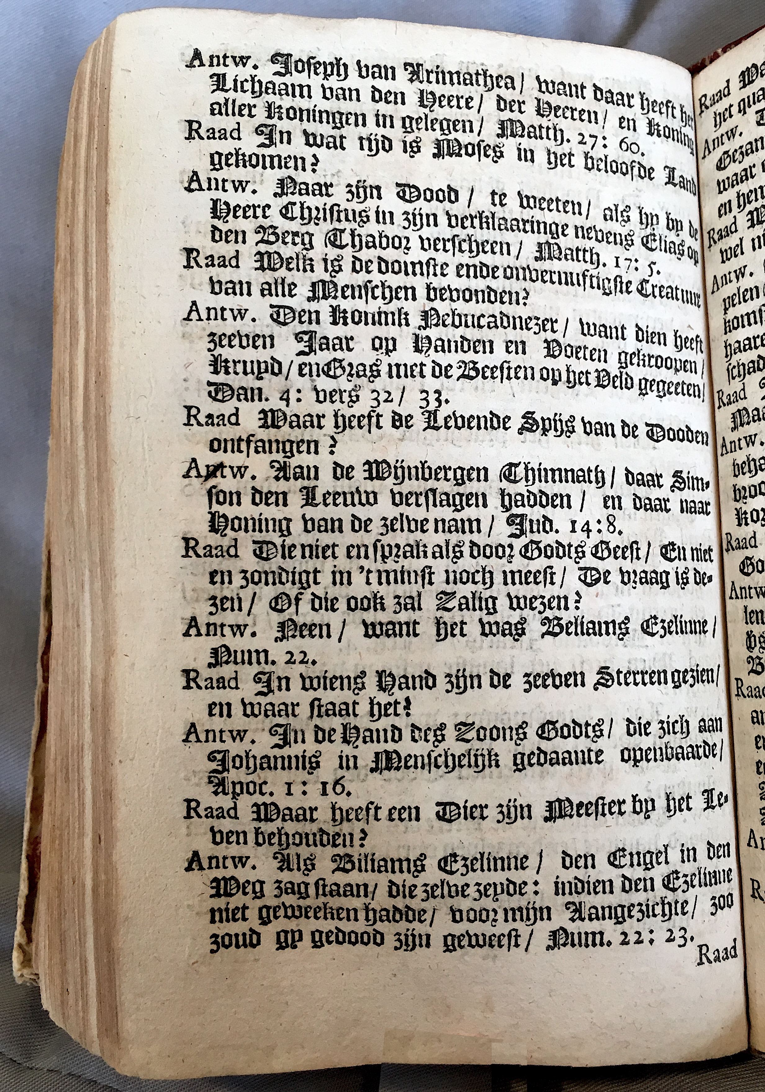 Raadzelboek10